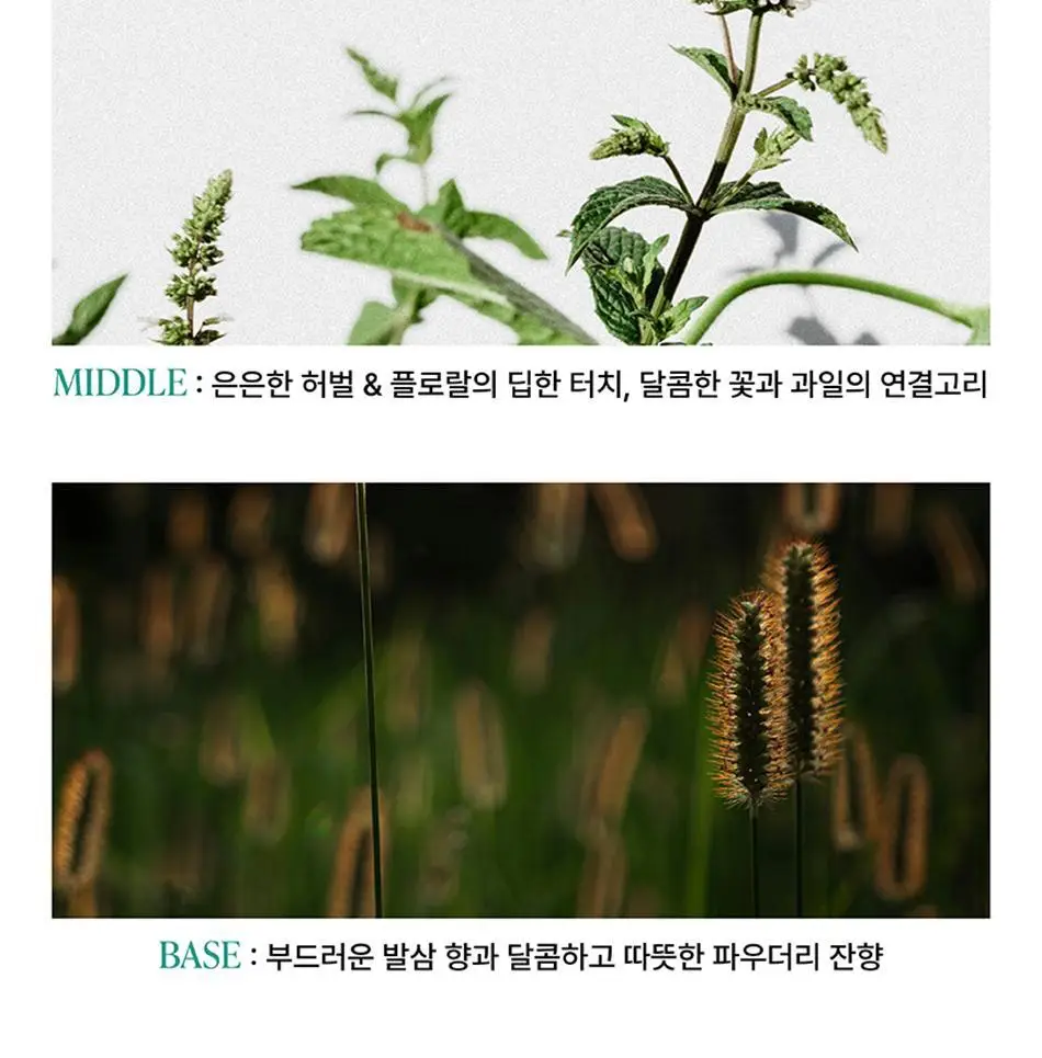 [NEW] 말표 신발탈취제 풀잎향 상세페이지 23
